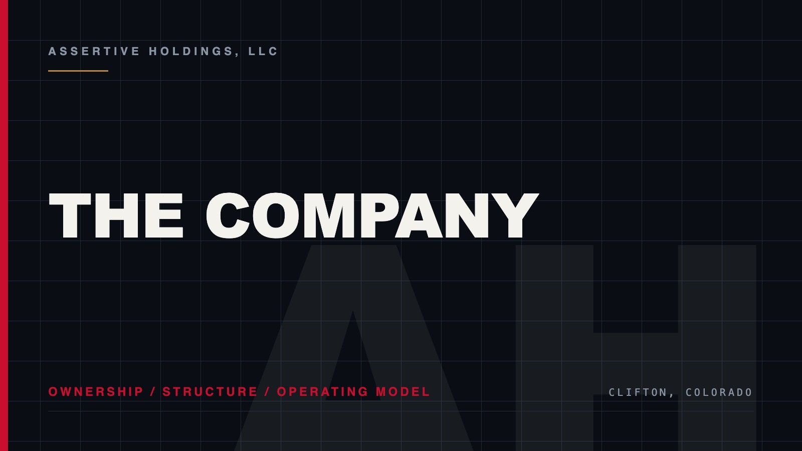 Colorado holding company structure at Assertive Holdings, LLC
