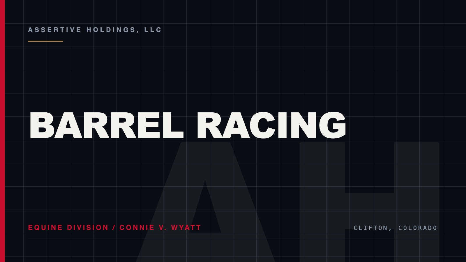 Connie V. Wyatt, owner and barrel racing competitor