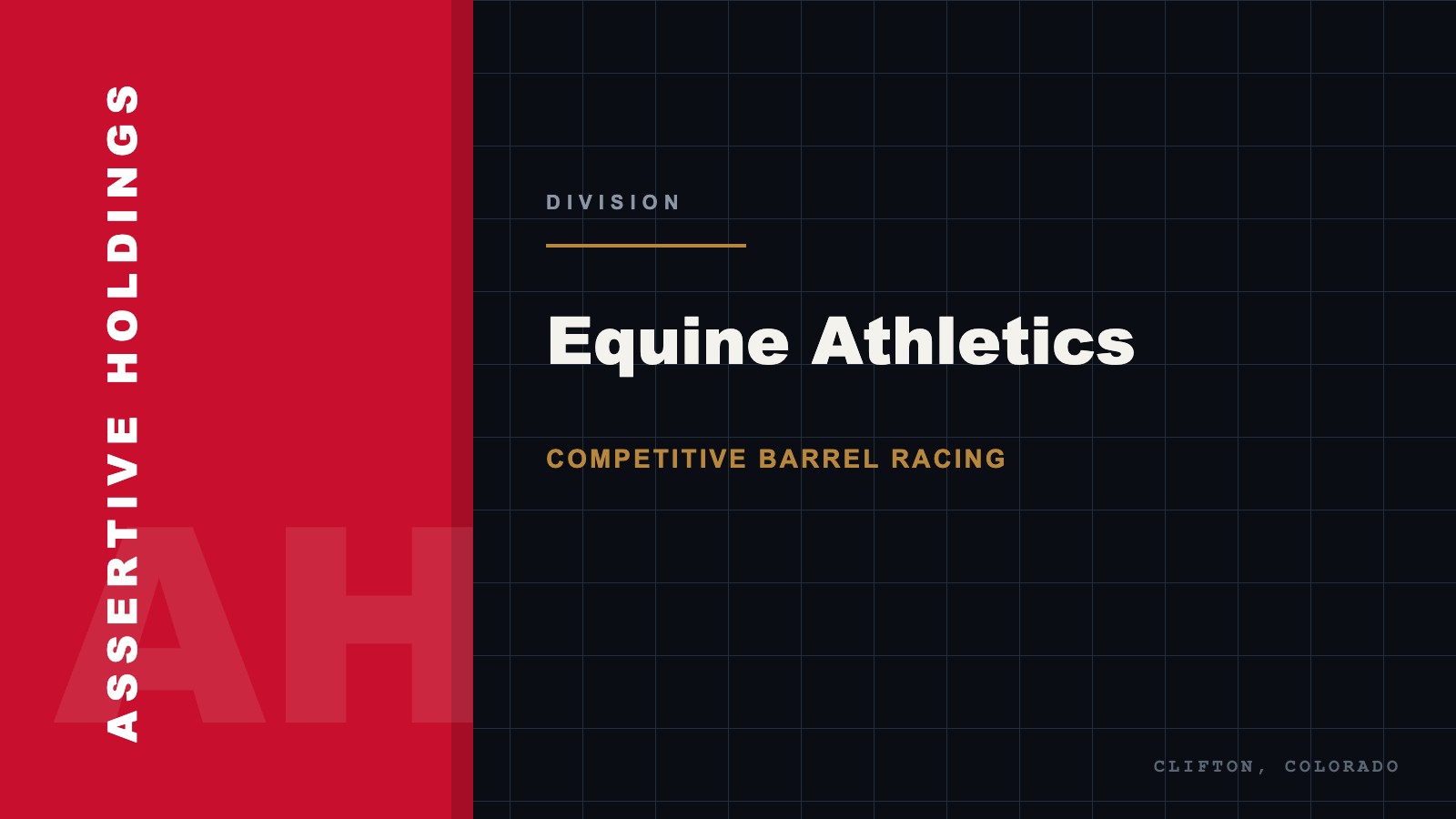Equine athletics division in the portfolio of companies