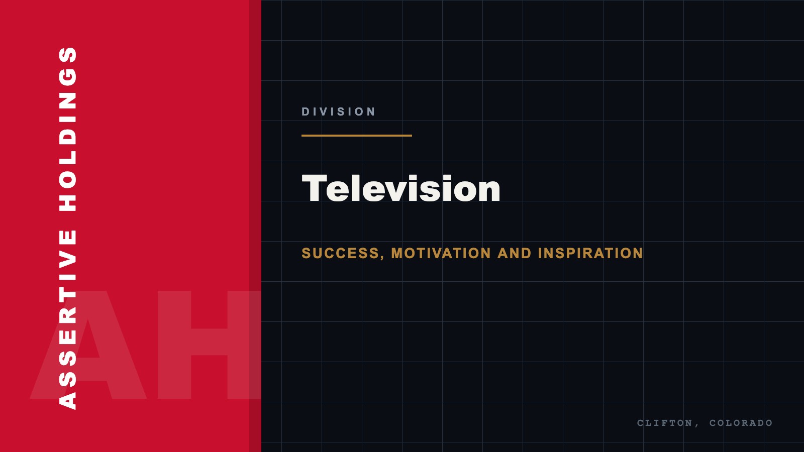 Television division in the portfolio of companies